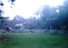 Tikal nella nebbia, 2000.jpg (87238 byte)