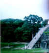 Tikal tempio II.jpg (24723 byte)