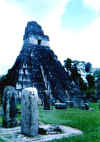 Tikal temple I ,agosto 2000.jpg (45975 byte)