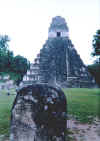 Tikal temple I e stele, 2000.jpg (98875 byte)
