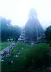 Tikal temple I ore 6.40 agosto 2000.jpg (44193 byte)