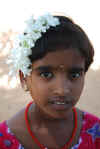 India del sud 2008 919.jpg (2109454 byte)