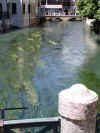 Treviso 010.jpg (642242 byte)