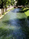 Treviso 011.jpg (630664 byte)