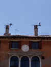 Treviso 027.jpg (614888 byte)