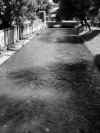 Treviso 040.jpg (560741 byte)