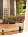Treviso 043.jpg (645116 byte)