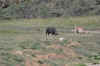 Kenya 2012 097.jpg (4410257 byte)