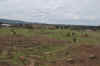 Kenya 2012 187.jpg (4298838 byte)