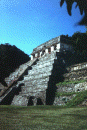 Palenque MEXICO 1998.jpg (89223 byte)