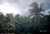 Puerto Escondido, aspettando il temporale, 1998.jpg (100569 byte)
