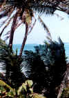 Little Corn, mare fra le palme.jpg (415225 byte)