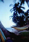 Little Corn, sull'amaca.jpg (272654 byte)