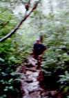 Maurizio sul Maderas a Ometepe.jpg (365305 byte)
