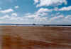 Playa Hermosa, cavalli, 24-01-03.jpg (327888 byte)