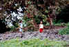 Ragazze di Ometepe.jpg (466571 byte)