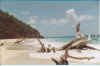 Antigua_Annaediego_spiaggia.jpg (48875 byte)