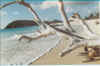 Antigua, Fryiers beach, Anna e Diego.jpg (65657 byte)