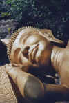 Buddha.jpg (475395 byte)
