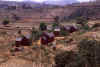 Villaggio Merina tra Antananarivo e Antsirabe.jpg (120258 byte)
