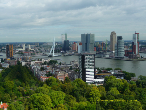 Rotterdam, vedute da euromast (15b).jpg