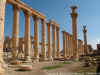 Palmira-interno_del_tempio_di_Bel.jpg (518239 byte)