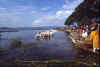 Awasa mercato pesce.jpg (150445 byte)