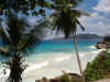Seychelles 347.jpg (223555 byte)