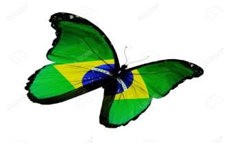 14632257-Bandiera-brasiliana-farfalla-volare-isolato-su-sfondo-bianco-Archivio-Fotografico.jpg