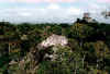 Tikal dall'alto.JPG (49537 byte)