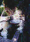 Granada, fontana e zampilli nel Generalife, 20-08-02.jpg (108449 byte)