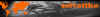 testabicicarica.jpg (40434 byte)