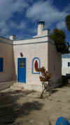 casa.jpg (1452139 byte)