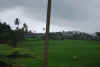 India del sud 2008 072.jpg (1628885 byte)