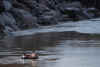 India del sud 2008 1013.jpg (1379516 byte)