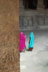 India del sud 2008 1052.jpg (1689334 byte)