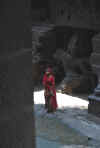 India del sud 2008 1059.jpg (1784622 byte)