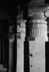 India del sud 2008 1110.jpg (2228295 byte)