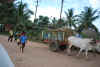 India del sud 2008 206.jpg (2663567 byte)