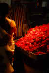 India del sud 2008 215.jpg (1287246 byte)