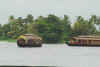 India del sud 2008 238.jpg (1346345 byte)