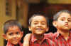 India del sud 2008 331.jpg (709390 byte)