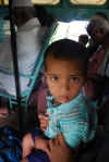 India del sud 2008 372.jpg (697380 byte)