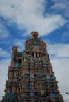 India del sud 2008 411.jpg (2176563 byte)