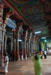 India del sud 2008 433.jpg (2319831 byte)