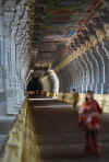 India del sud 2008 487.jpg (1316182 byte)