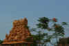 India del sud 2008 527.jpg (2521688 byte)