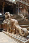 India del sud 2008 550.jpg (2478569 byte)