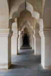 India del sud 2008 577.jpg (1814134 byte)
