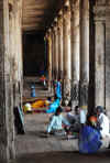 India del sud 2008 615.jpg (2354849 byte)